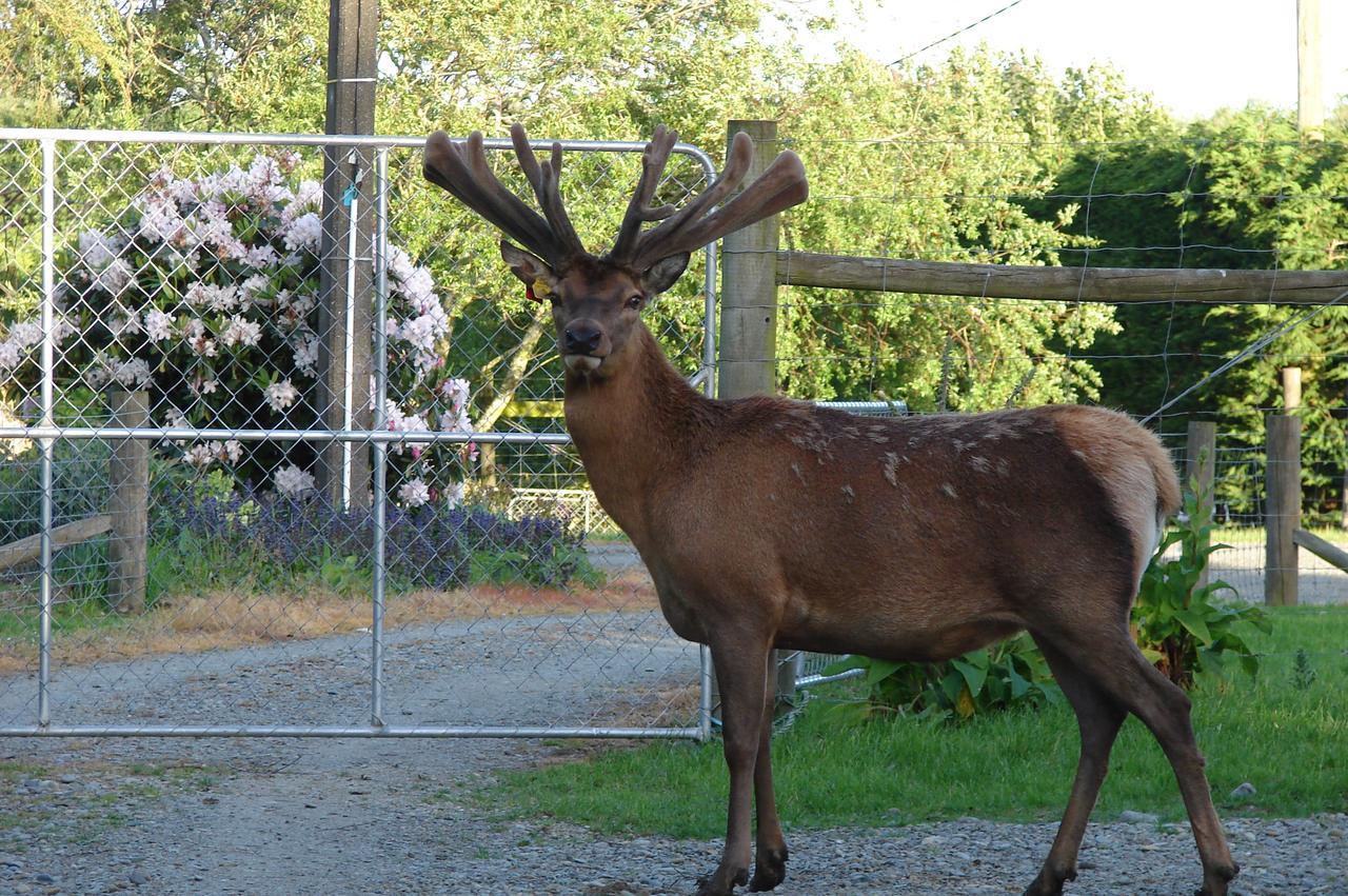 Mcivor Lodge Invercargill Zewnętrze zdjęcie